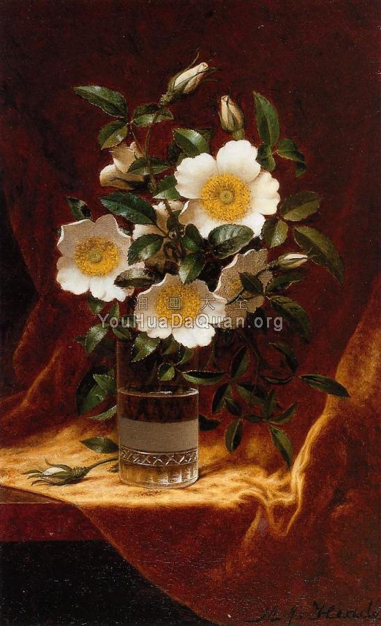 Cherokee Roses in a Glass - 马丁·约翰逊·赫德
